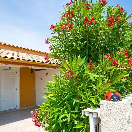 HOLIDAYLAND BAIE DES OLIVIERS VILLA 36m2 1chambre fermée 6 couchages ou VILLA 41M2 2chambres fermées 7 couchages-2